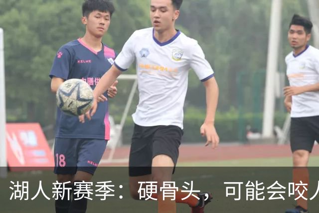 湖人新赛季：硬骨头，可能会咬人也可能摔跤